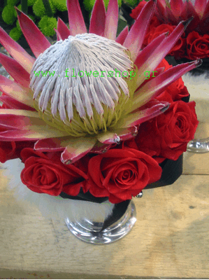 Exclusive arrangement with protea "madiba king" and red roses in pot