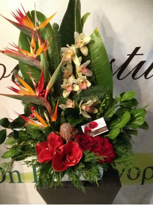 Christmas Arrangement with tropical flowers in parallel lines.