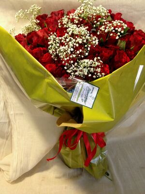 (101) Red Exclusive Dutch Roses 50 cm gift wrapped