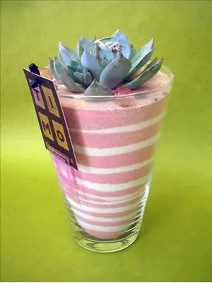 echeveria glass.jpg