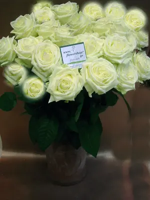 white roses