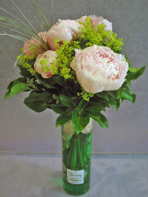 Paeonias bouquet (5) stems with greens in vase