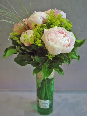 Paeonias bouquet (5) stems with greens in vase