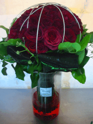 (50) red roses bouquet  A' quality Dutch gift wrapped with greens + Vase