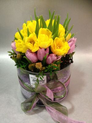 Tulips (30) stems in glass cylinder with decorative sand layers !!!