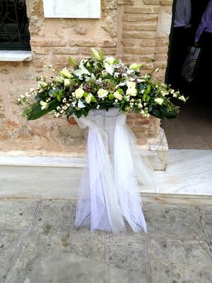 Arrow shaped arrangements & Phalaenopsis Orchids Plants