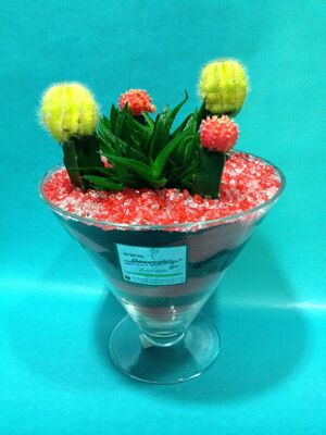 Gymnocalysium Cactus Arrangement In Glass With Decorative Colored Sand !!!