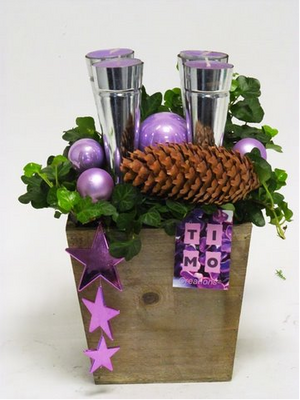 Christmas Plants & Decoration in Quality Pot.