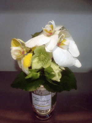 Small vase with vanda or phalaenopsis