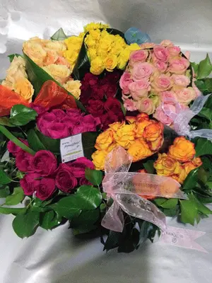 Roses "roller coaster"