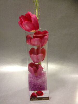 Tulips in levels with decorative gel and betula birches.