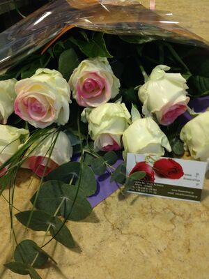 (10) Exclusive Waxed Roses