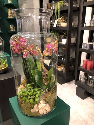 Exclusive Plants Arrangement In Vase (Big size diam. 25cm & Height 55cm). With extra decoration.