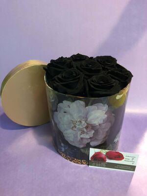 Roses in decorative  15 cm χ 15 cm  "Divine  Hatbox". (7) heads.