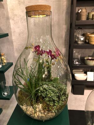 Exclusive Plants Arrangement In "Drop" Vase (Big size diam. 25cm & Height 55cm). With extra decoration.