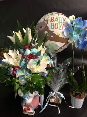 Σύνθεση  Λουλουδιών  για νεογέννητο. "Έξυπνο Πακέτο" Καλάθι + Κάρτα + Αρκούδι + Μπαλόνι + Σοκολατάκια + Ορχιδέα σε ποτ !!!