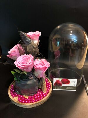 Roses Preserved in "Glass Fanus" Diam 17 cm Height 24 cm . Romantic Pink (4) heads.