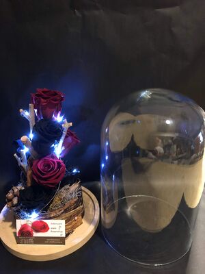 Ανθοπωλείο. (4) Βαλσαμωμένα "4ever" τριαντάφυλλα σε "Γυάλινο Θόλο" Διαμ 17εκ. χ 24εκ. + leds (special)