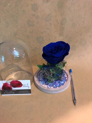 Τριαντάφυλλο βαλσαμωμένο (1) Τεμ. σε σύνθεση. "Η Πεντάμορφη & Το Τέρας " Σπέσιαλ.