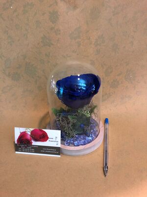 Τριαντάφυλλο βαλσαμωμένο (1) Τεμ. σε σύνθεση. "Η Πεντάμορφη & Το Τέρας " Σπέσιαλ.