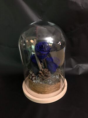 Roses Forever,  σε Γυάλινο Θόλο Διαμ. 20εκ. Ύψος 30εκ. Συσκευασία Δώρου.  (Υποδείξτε το χρώμα της αρεσκείας σας στη φόρμα παραγγελίας) (3) Τεμάχια.