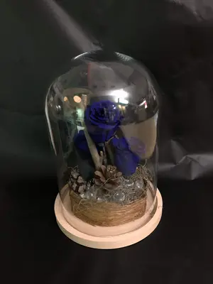 Roses  Forever  in Glass Cover Diam. 20cm Height 30cm. In "Decorative Package ". (3)pieces.
