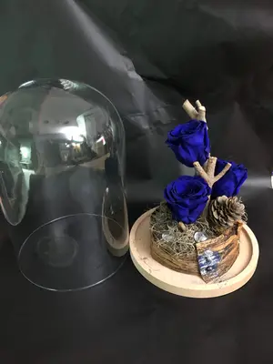 Roses  Forever  in Glass Cover Diam. 20cm Height 30cm. In "Decorative Package ". (3)pieces.