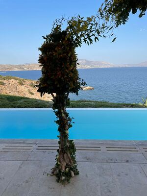 Island Athens Riviera Club.Στολισμός  Δεξίωσης. Αψίδα, Τραπεζια, Χώρος.