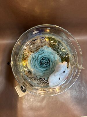 Rose Forever 12cm (head diameter) in "Cylinder vase" with led lights, teddy and decoration