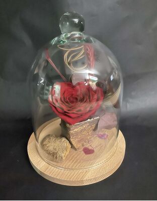 Rose Forever καρδιά, σε Γυάλινο Θόλο Διαμ. 20εκ. Ύψος 30εκ.