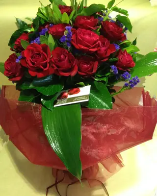 red roses Extra Quality Dutch