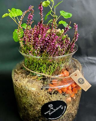 (1) φυτό σετ) σε γυάλινο βάζο με διακόσμηση !!! Πολυτελές με (3) φυτά.