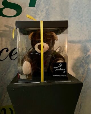 Teddy Bear 25cm. In "Decorative Dispaly Box" with Led Lights