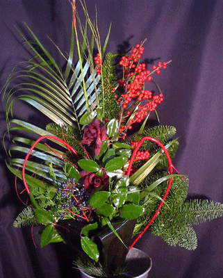 Christmas bouquet with illex and cornus !!!