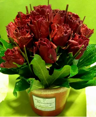 (21) red roses vase + colored sand