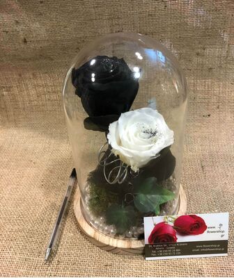 Τριαντάφυλλο βαλσαμωμένο (2) Τεμ. σε σύνθεση. "Η Πεντάμορφη & Το Τέρας "