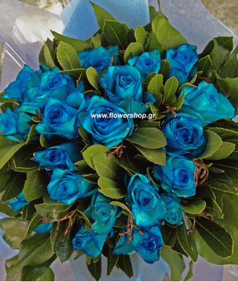 Blue Roses (21) stems  bouquet !!!