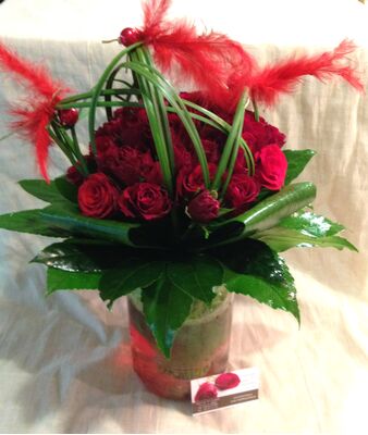 red roses Extra Quality Dutch.Exclusive