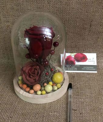 Τριαντάφυλλο βαλσαμωμένο (1) Τεμ. σε σύνθεση. "Η Πεντάμορφη & Το Τέρας " Σπέσιαλ.