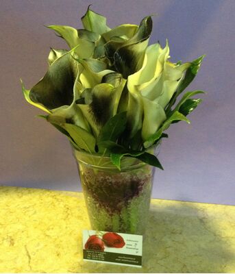 Callas in Glass with decorative colored gel !!!