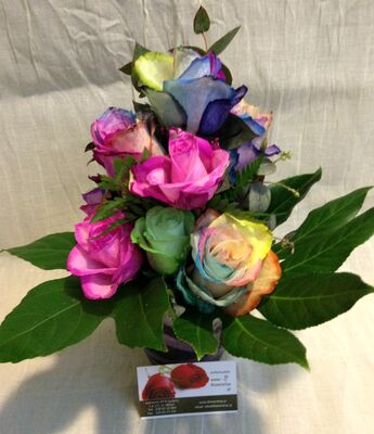 Roses "Rainbow" vase (11) stems with Greens.