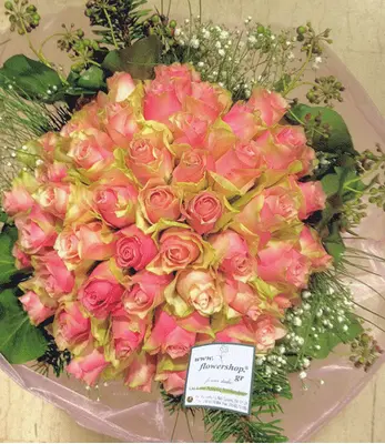pink roses