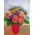 Mixed flowers week bouquet