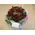 red roses bouquet
