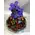 phalaenopsis tray.jpg