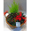 Σύνθεση με "Χριστουγεννιάτικα" φυτά