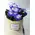 Saint Paulia  plant in fine ceramic pot!!!