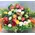 Rainbow colors flower arrangement in basket.Spring flavor !!!