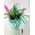 Plant tillandsias in glass vase.Blue sea!!!!