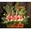Christmas arrangement in basket with candles
